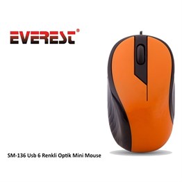Everest SM-136 Usb 6 Renkli Optik Mini Mouse